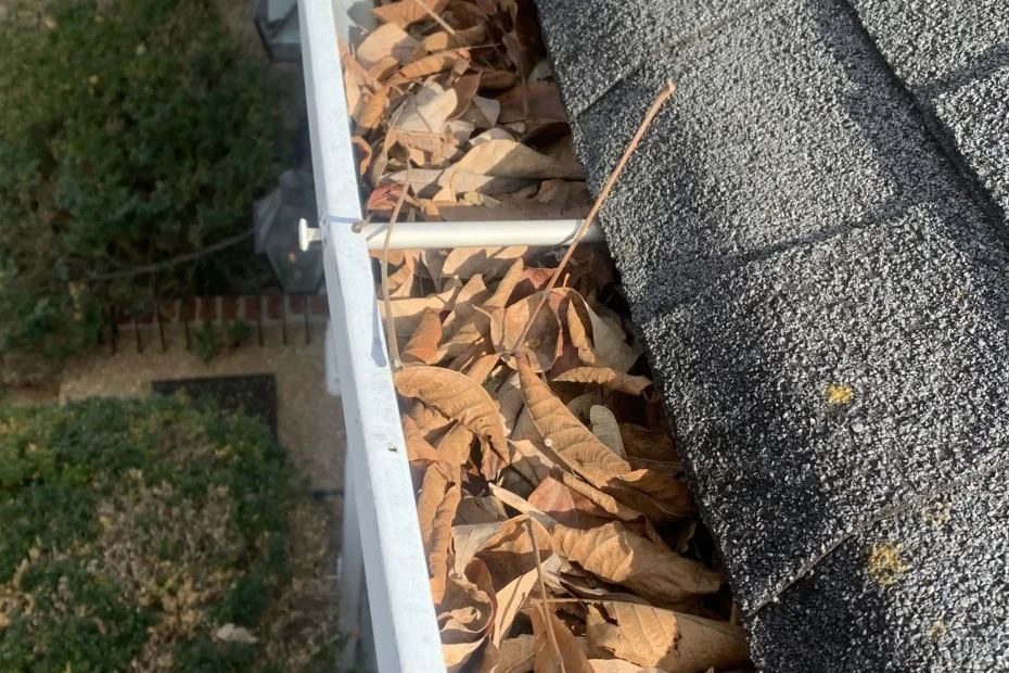 Gutter Cleaning Conway