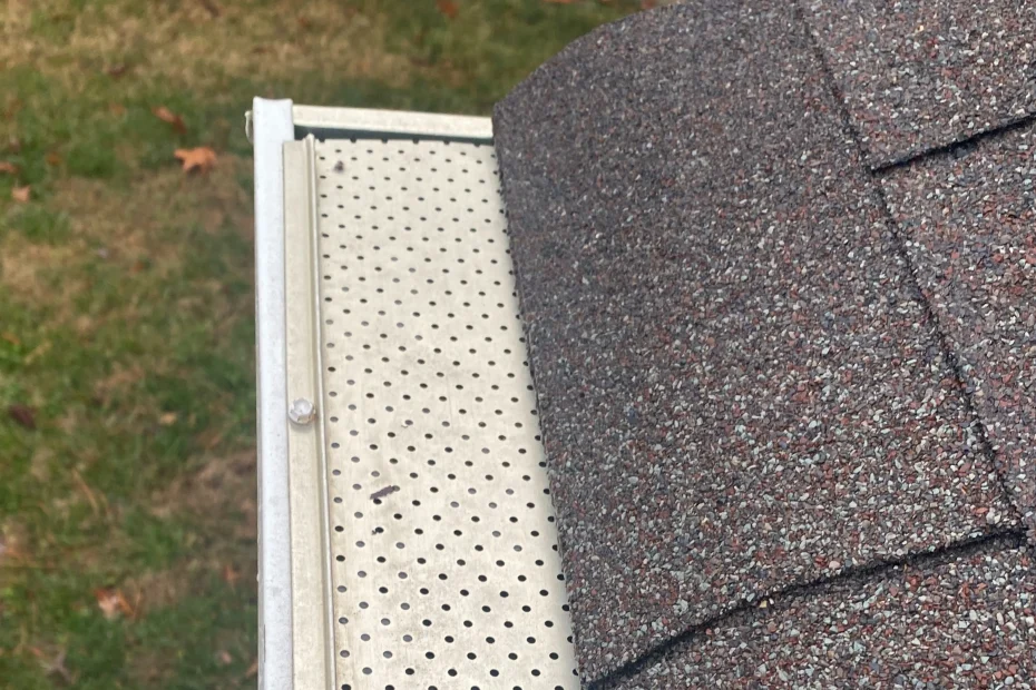 Gutter Cleaning Conway