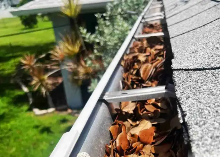 Gutter Cleaning Conway home page